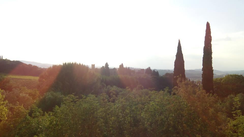 Apartmán Casa Michelangelo Megognano Exteriér fotografie